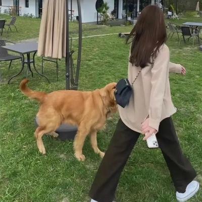 伦敦父女档